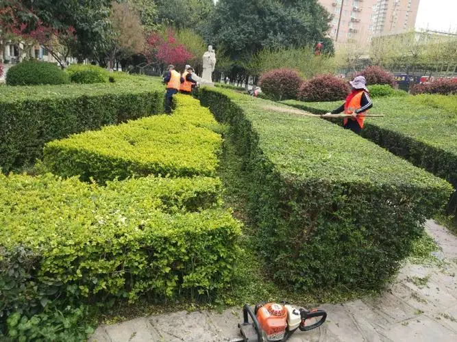 绿化工程收量测量长度是测量到哪