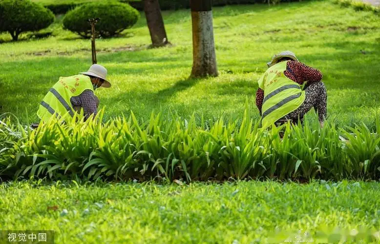 12层看园林景观设计