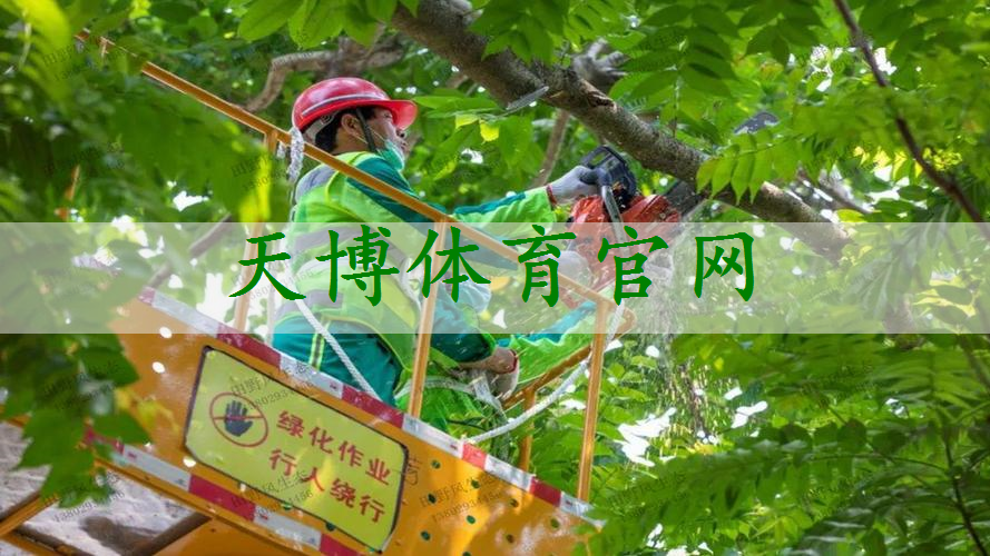 睢宁园林景观绿化工程施工方案