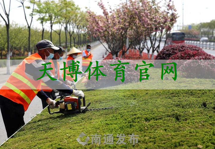 内江樱花绿化工程项目